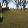 deb goedert, wallace park, park, wallace, ne, nebraska, facility, disc golf, frisbee, north platte area sports commission, play north platte