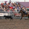sutherland rodeo inc, rodeo, sutherland firecracker, arena, Facility, North Platte Area Sports Commission, Play North Platte