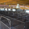 lincoln county fairgrounds, indoor arena, rodeo, arena, beef barn, Facility, North Platte Area Sports Commission, Play North Platte
