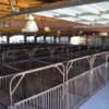 lincoln county fairgrounds, indoor arena, rodeo, arena, beef barn, Facility, North Platte Area Sports Commission, Play North Platte