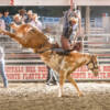 nebraskaland days, wild west arena, buffalo bill rodeo, prca, rodeo, pro rodeo, Facility, North Platte Area Sports Commission, Play North Platte