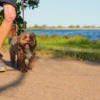 north platte trails network, iron horse lake, trails, hiking, biking, running, north platte, nebraska, ne, north platte area sports commission, outdoor sports, play north platte