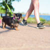 north platte trails network, iron horse lake, trails, hiking, biking, running, north platte, nebraska, ne, north platte area sports commission, outdoor sports, play north platte