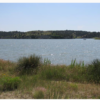 jeffrey canyon reservoir, jeffrey lake, jeffrey reservoir, brady, nebraska, ne, brady moorefield, north platte area sports commission, water sports, fishing, bald eagles, sandhill cranes, boating, tubing, fish, wildlife, play north platte, lincoln county