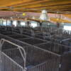 lincoln county fair, fair, beef barn, arena, facility, north platte, ne, lincoln county, nebraska, north platte area sports commission, play north platte, convention, meeting space