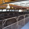 lincoln county fair, fair, beef barn, arena, facility, north platte, ne, lincoln county, nebraska, north platte area sports commission, play north platte, convention, meeting space
